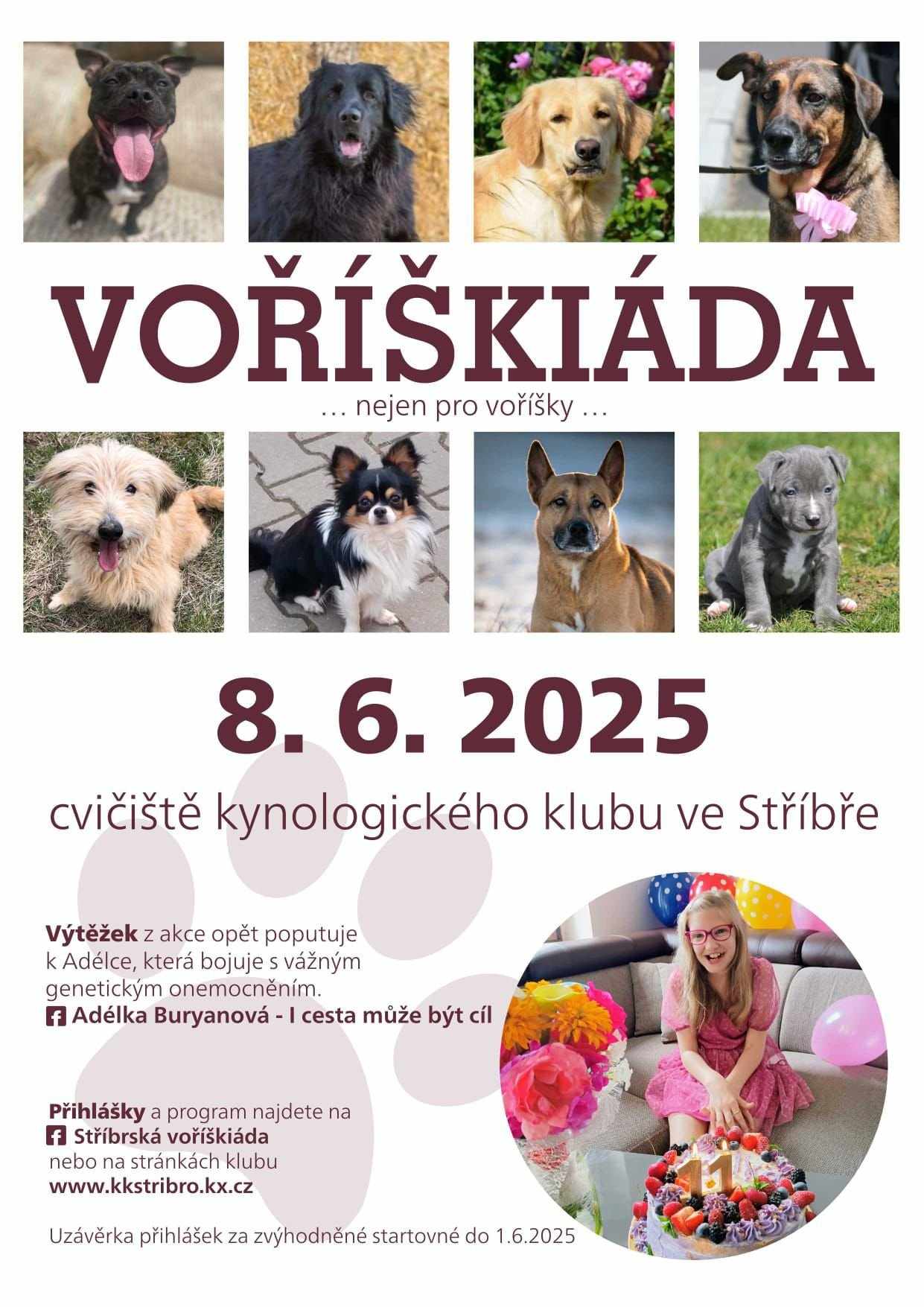 voriskiada2025